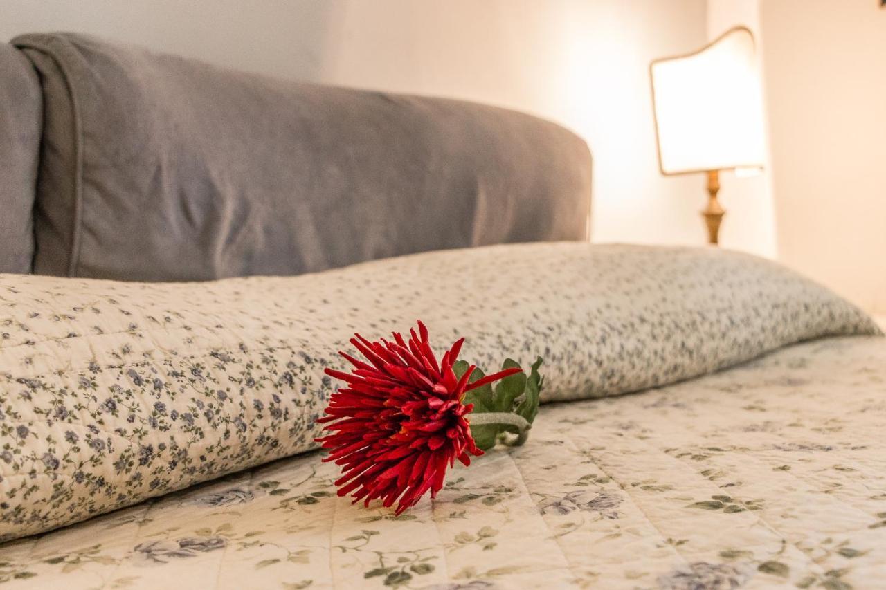 ヴェネツィアCa' Dei Moriアパートメント エクステリア 写真